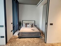 Cuscaden Reserve (D10), Condominium #496188321